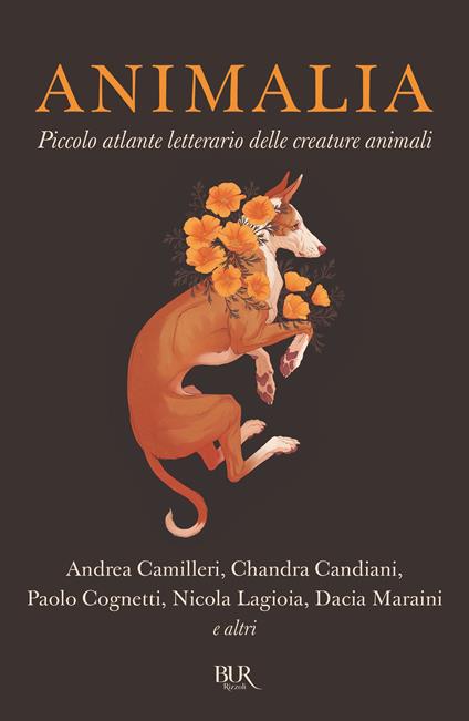 Animalia. Piccolo atlante delle creature animali - copertina