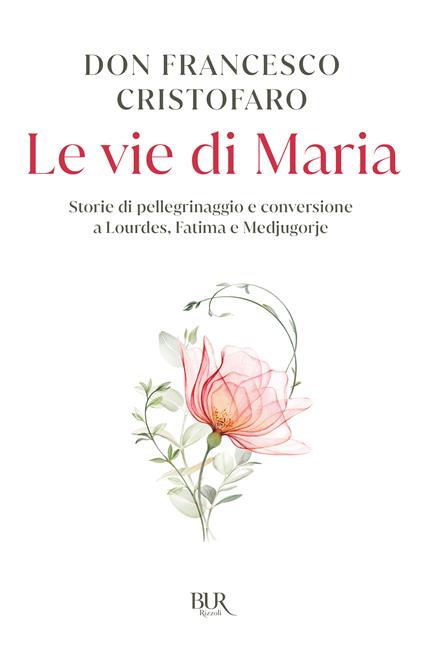 Le vie di Maria. Storie di pellegrinaggio e conversione a Lourdes, Fatima e Medjugorje - Don Francesco Cristofaro - copertina