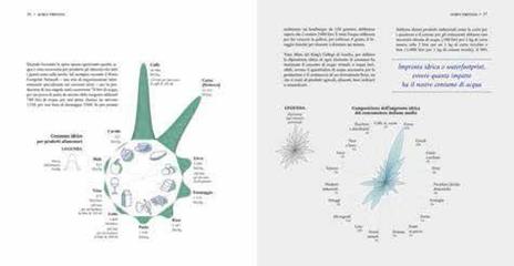 Atlante geopolitico dell'acqua. Water grabbing, diritti, sicurezza alimentare ed energia - Emanuele Bompan,Marirosa Iannelli,Federica Fragapane - 3