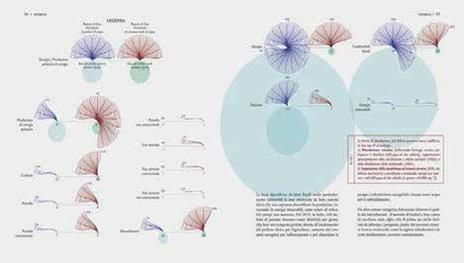 Atlante geopolitico dell'acqua. Water grabbing, diritti, sicurezza alimentare ed energia - Emanuele Bompan,Marirosa Iannelli,Federica Fragapane - 7