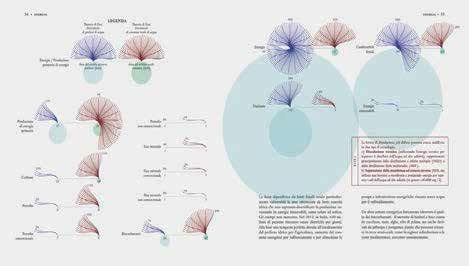 Atlante geopolitico dell'acqua. Water grabbing, diritti, sicurezza alimentare ed energia - Emanuele Bompan,Marirosa Iannelli,Federica Fragapane - 7