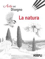 Libri Disegni e tecniche del disegno | IBS