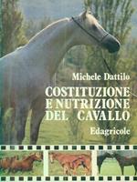 Costituzione e nutrizione del cavallo