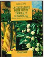 La coltivazione delle piante tropicali e subtropicali