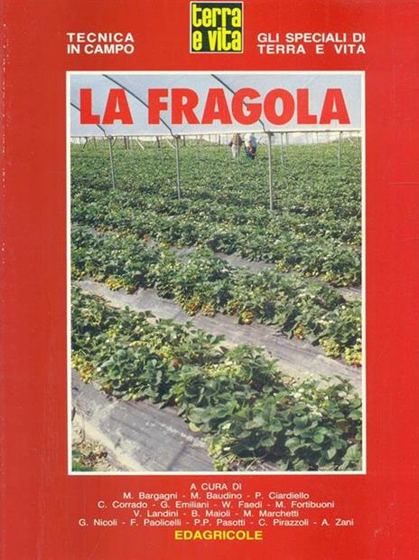 La fragola - copertina