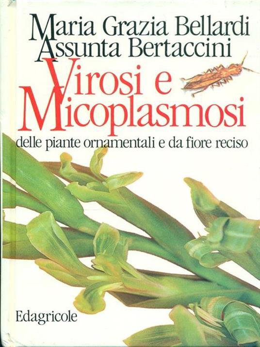 Virosi e micoplasmosi delle piante ornamentali e da fiore reciso - M. Grazia Bellardi,Assunta Bertaccini - copertina