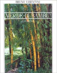 Verde di bambù - Bruno Visentini - copertina