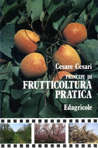 Principi di frutticoltura pratica - Cesare Cesari - copertina
