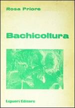 Bachicoltura