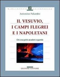 Il Vesuvio, i Campi Flegrei e i napoletani. Che cosa potrà accadere e quando - Antonino Palumbo - copertina