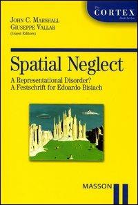 Spatial neglect. A representational disorder? A festschrift for Edoardo Bisiach - copertina