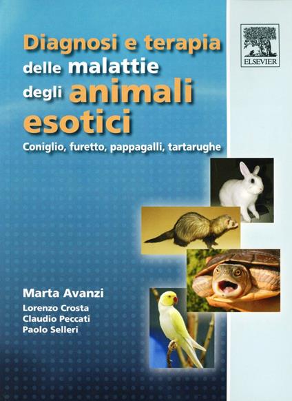 Diagnosi e terapia delle malattie degli animali esotici. Coniglio, furetto, pappagalli, tartarughe - Marta Avanzi,Lorenzo Crosta,Claudio Peccati - copertina