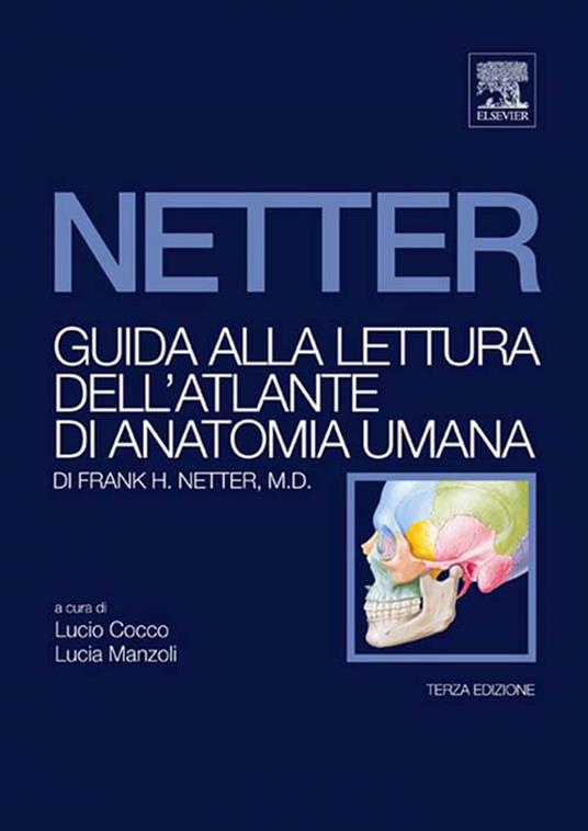 Guida alla lettura dell'atlante di anatomia umana di Frank H. Netter - Lucio Cocco,Lucia Manzoli - ebook