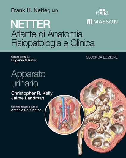 Netter. Atlante di anatomia fisiopatologia e clinica: apparato urinario -  Kelly, Christopher R. - Landman, Jaime - Ebook - EPUB2 con Adobe DRM | IBS