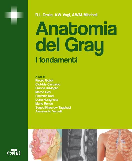 Anatomia del Gray. I fondamenti - Richard L. Drake,Adam W. Mitchell,A. Wayne Vogl - ebook