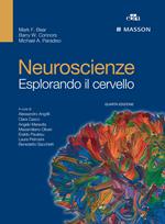 Neuroscienze. Esplorando il cervello