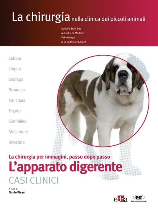 L' apparato digerente. Casi clinici. La chirurgia per immagini, passo dopo passo - Rodolfo Brühl Day,María Elena Martínez,Pablo Meyer,José Rodríguez Gómez - ebook