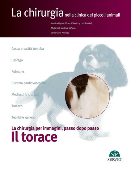 Il torace. La chirurgia per immagini, passo dopo passo - José Rodríguez Gómez,M. José Martínez Sañudo,Jaime Graus Morales - copertina