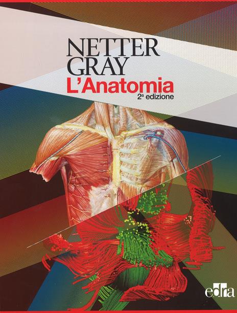 Netter Gray. L'anatomia. La chiarezza e il fascino dell'anatomia: Anatomia  del Gray. Le basi anatomiche per la pratica clinica-Atlante di anatomia