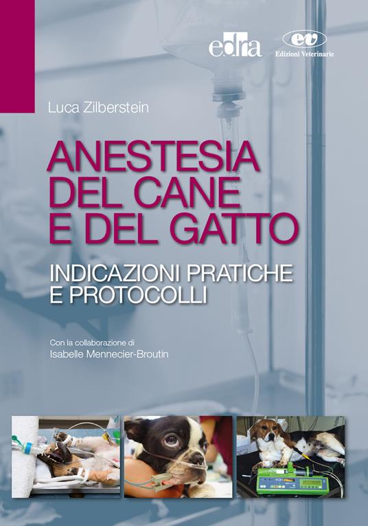 Anestesia del cane e del gatto. Indicazioni pratiche e protocolli - Isabelle Mennecier-Broutin,Luca Zilberstein - ebook