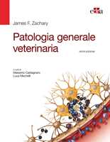 Trattato di clinica medica veterinaria Ettinger. Malattie del cane e del  gatto - Stephen J. Ettinger - Libro - Antonio Delfino Editore - | IBS