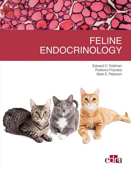 Feline endocrinology