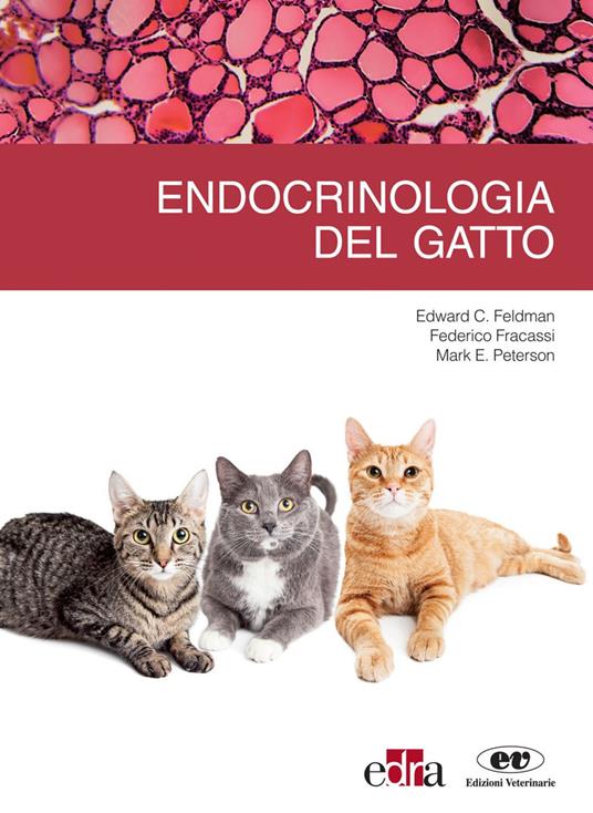 Endrocrinologia del gatto - Edward C. Feldman,Federico Fracassi,Mark E. Peterson - ebook