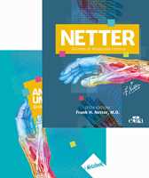 Netter - Atlante di Anatomia Umana — Libro di Frank Henry Netter