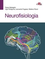 Neurofisiologia