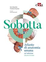 Sobotta. Atlante di anatomia umana. Organi interni