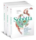 Sobotta. Atlante di anatomia umana