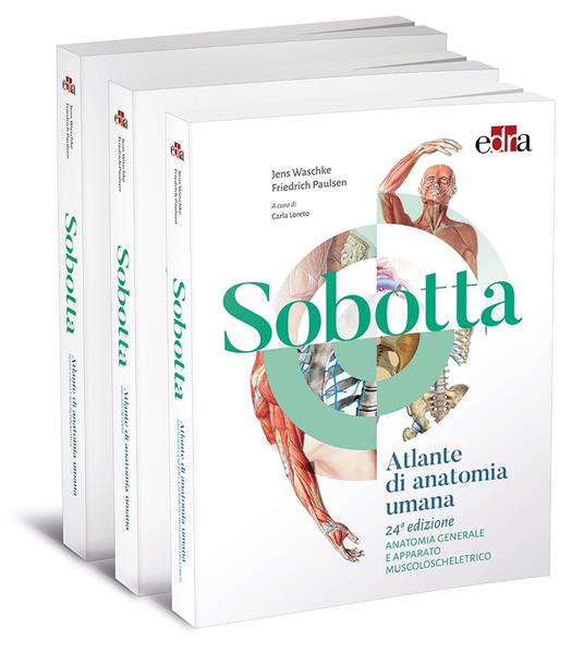 Sobotta. Atlante di anatomia umana - Friedrich Paulsen,Jens Waschke - copertina