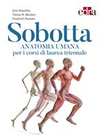 Sobotta. Anatomia umana per i corsi di laurea triennale