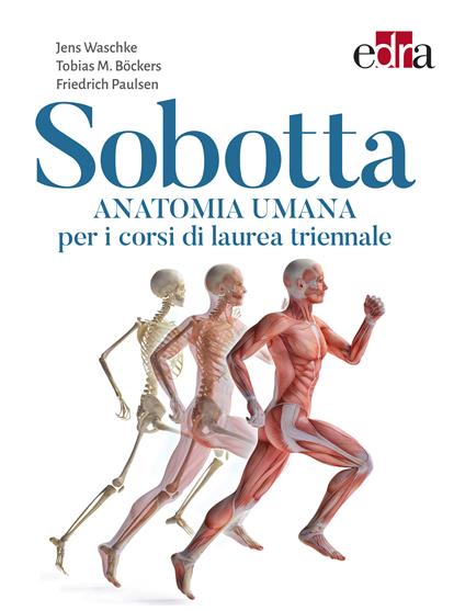 Sobotta. Anatomia umana per i corsi di laurea triennale - Tobias M. Bockers,Friedrich Paulsen,Jens Waschke - ebook