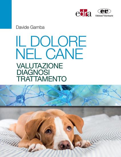 Il dolore nel cane. Valutazione, diagnosi e trattamento - Davide Gamba - ebook