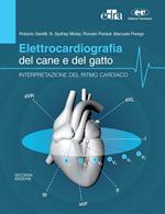 Elettrocardiografia del cane e del gatto. Interpretazione del ritmo cardiaco