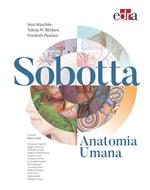 Sobotta. Anatomia umana