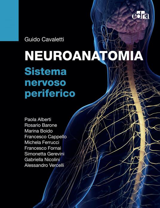 Neuroanatomia. Sistema nervoso periferico - Paola Alberti,Rosario Barone,Marina Boido,Francesco Cappello - ebook