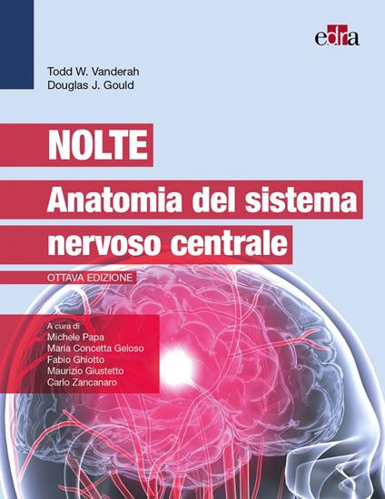 Nolte. Anatomia del sistema nervoso centrale - Todd W. Vanderah,Douglas J. Gould - copertina