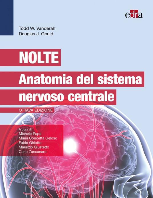 Nolte. Anatomia del sistema nervoso centrale - Todd W. Vanderah,Douglas J. Gould - copertina