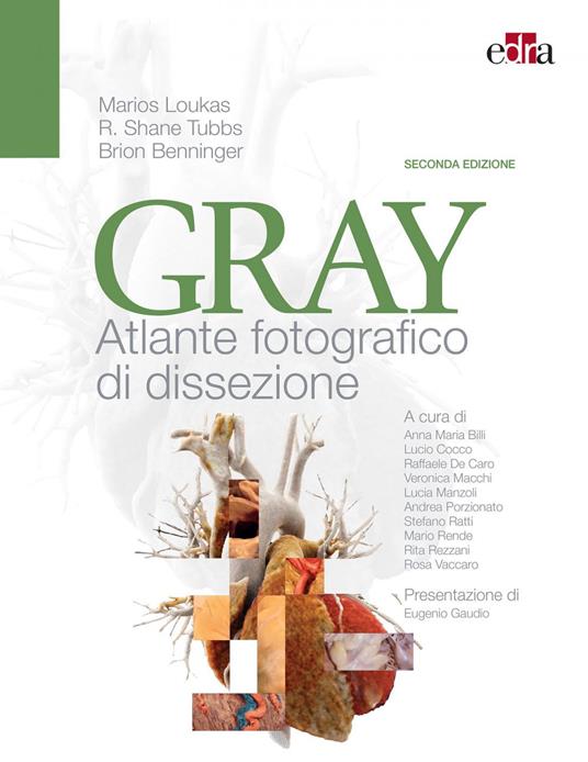 Gray. Atlante fotografico di dissezione - Brion Benninger,Marios Loukas,Shane R. Tubbs - ebook