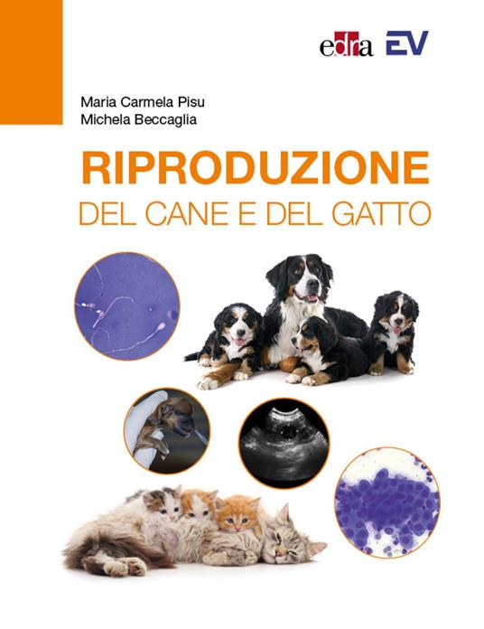 Riproduzione del cane e del gatto - Maria Carmela Pisu,Michela Beccaglia - copertina