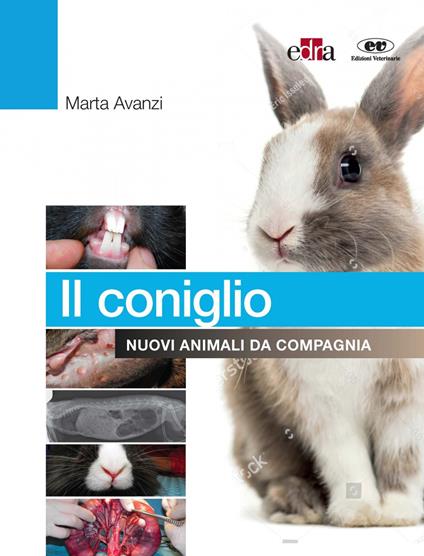Il coniglio. Nuovi animali da compagnia - Marta Avanzi - copertina