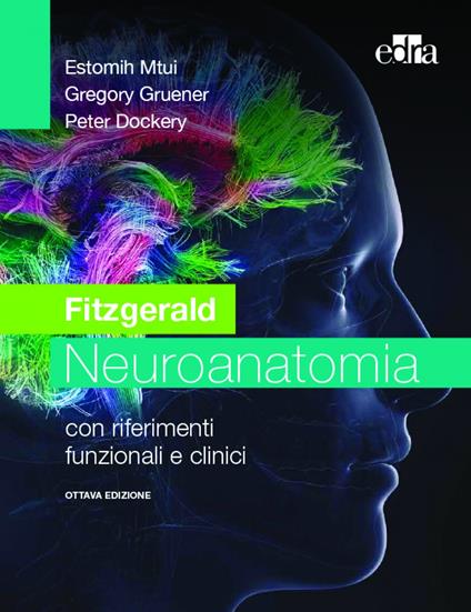 Fitzgerald. Neuroanatomia con riferimenti funzionali e clinici - Estomih Mtui,Gregory Gruener,Peter Dockery - copertina