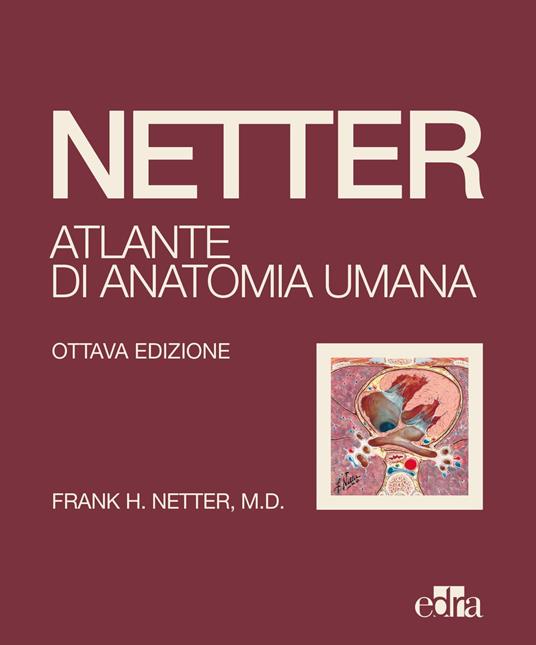 Netter. Atlante di anatomia umana - Frank H. Netter - copertina