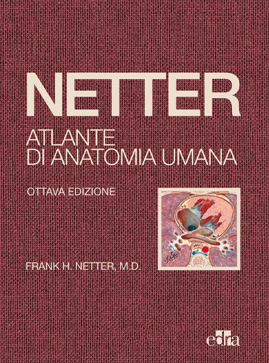 Netter. Atlante di anatomia umana - Frank H. Netter - copertina