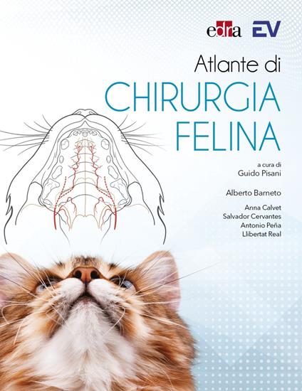 Atlante di chirurgia felina - Alberto Barneto,Anna Calvet,Salvador Cervantes - copertina