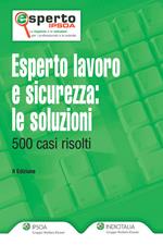 Esperto lavoro e sicurezza. Le soluzioni. 500 casi risolti