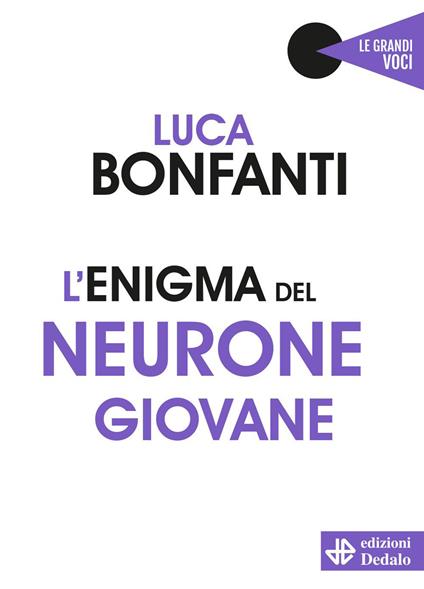 L'enigma del neurone giovane - Luca Bonfanti - copertina