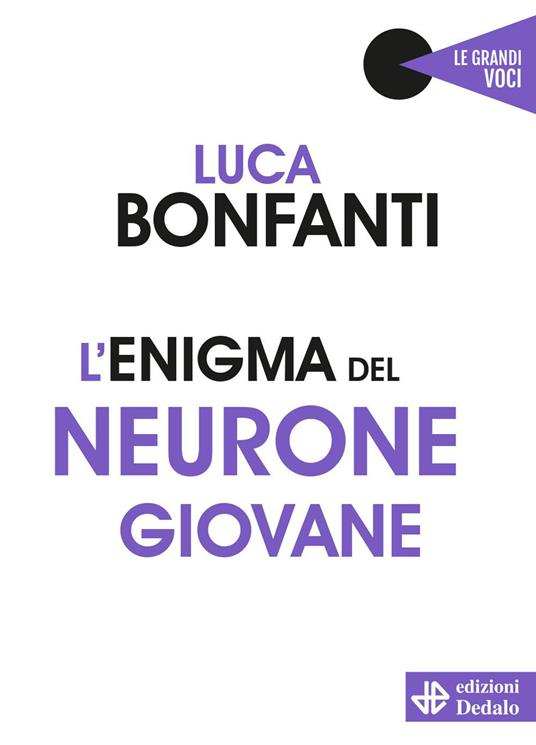 L'enigma del neurone giovane - Luca Bonfanti - copertina